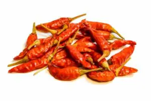 食育食材辞典 唐辛子