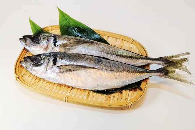 萩にんにく 鯵(あじ)せっつきあじ